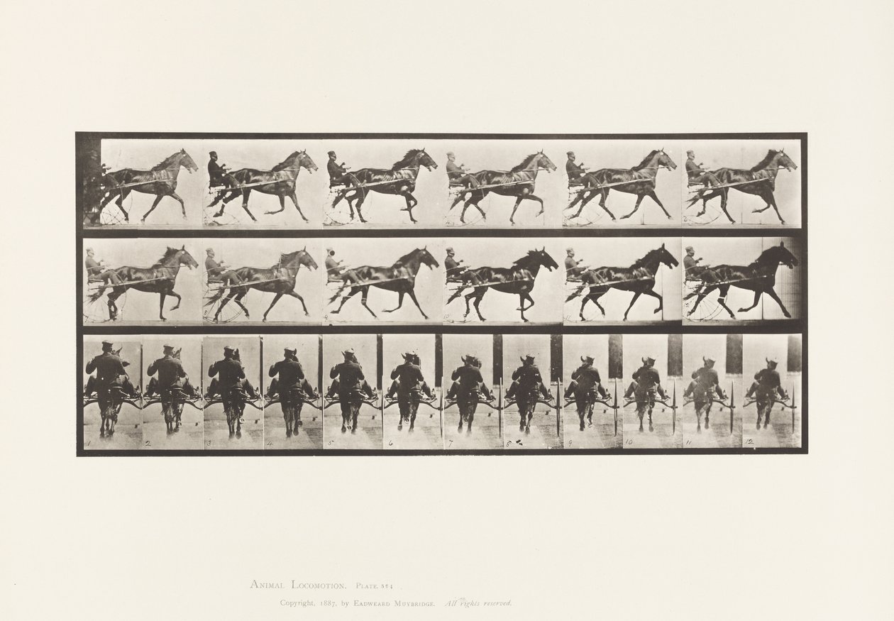 Planche 594. Balancement (Amble) : Sulky; Cheval Brun Pronto - Eadweard Muybridge