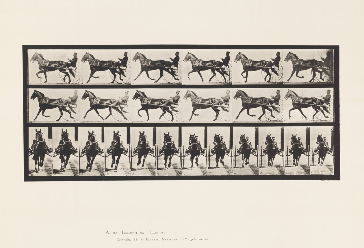 Planche 595. Balancer (Allure): Sulky; Cheval brun Pronto - Eadweard Muybridge