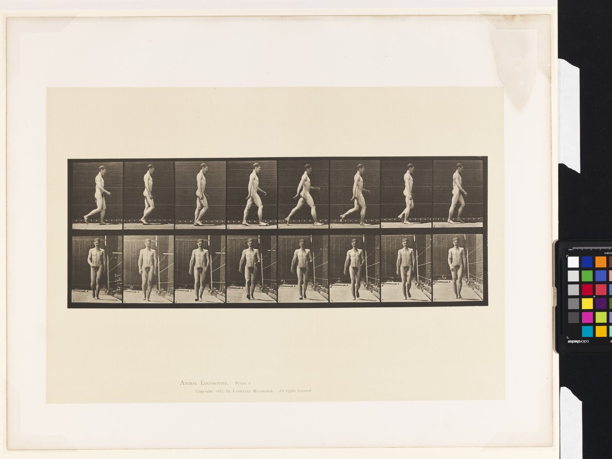 Planche 5. Marche - Eadweard Muybridge