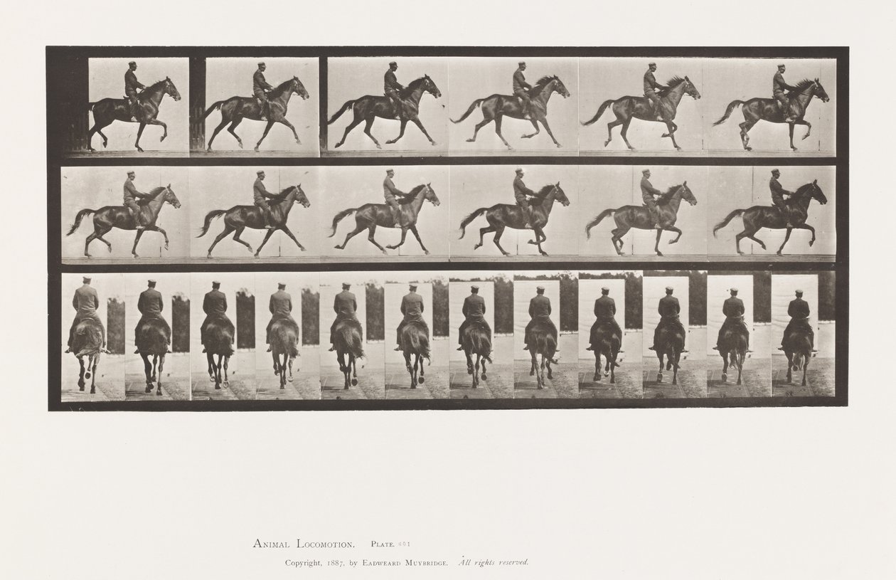 Planche 601. Trotter; Selle; Jument brune Beauty - Eadweard Muybridge
