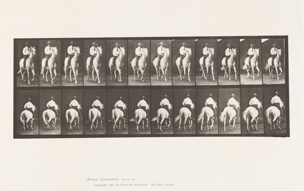 Planche 604. Trot; Selle; Cheval Blanc, Elberon - Eadweard Muybridge