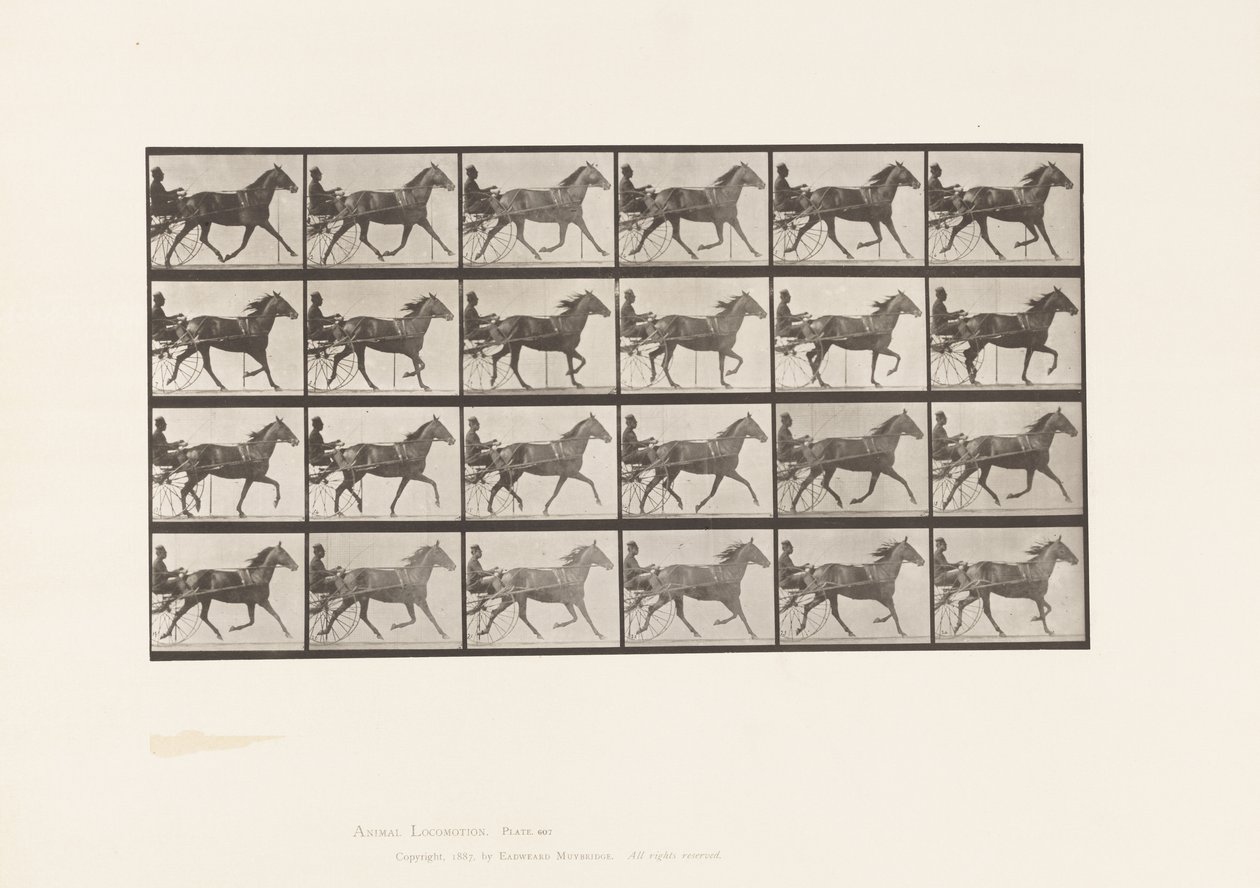 Planche 607. Trotter; Sulky; Jument baie, Lizzie M. - Eadweard Muybridge