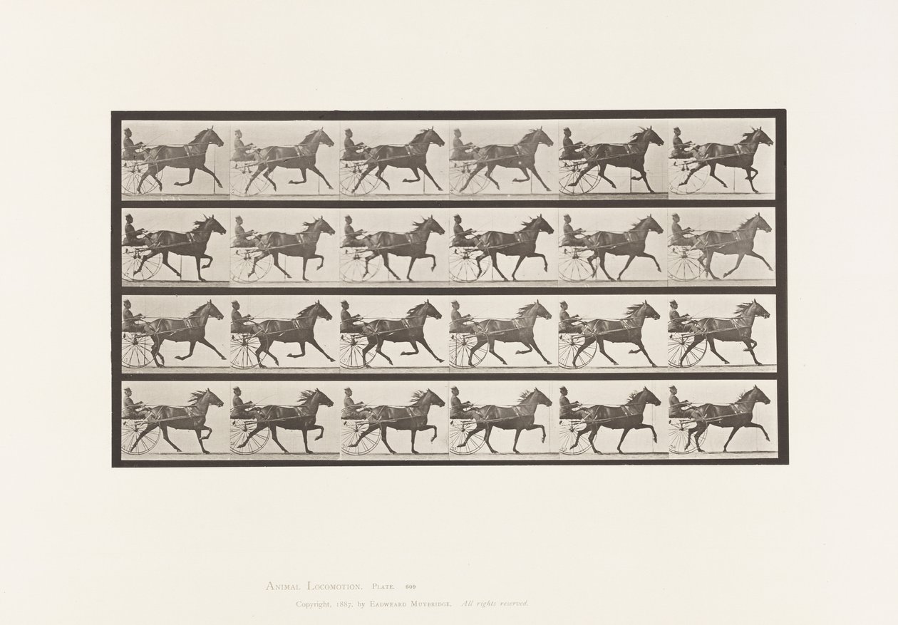 Planche 609. Trot; Sulky; Jument Bai, Lizzie M. - Eadweard Muybridge