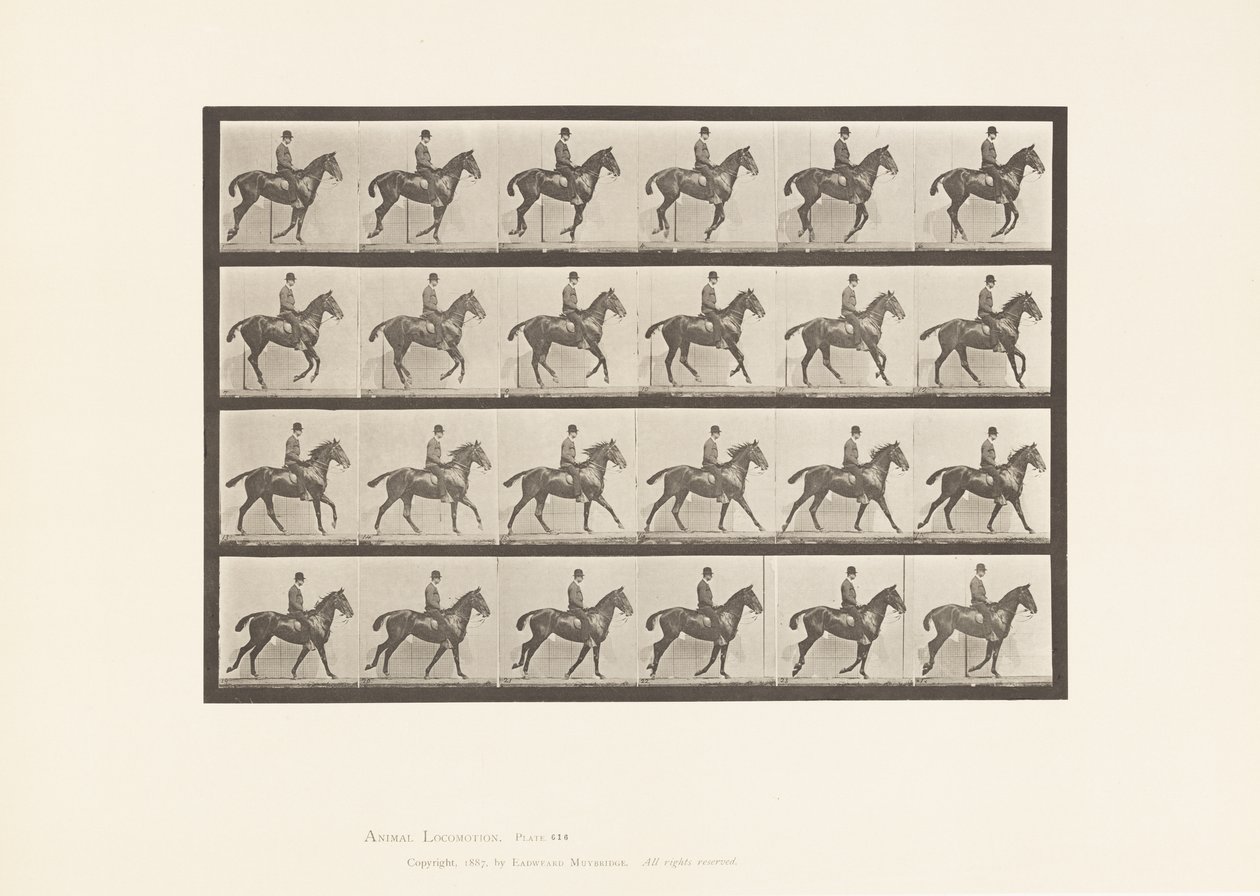 Planche 616. Petit Galop; Selle; Cheval Bai Daisy - Eadweard Muybridge