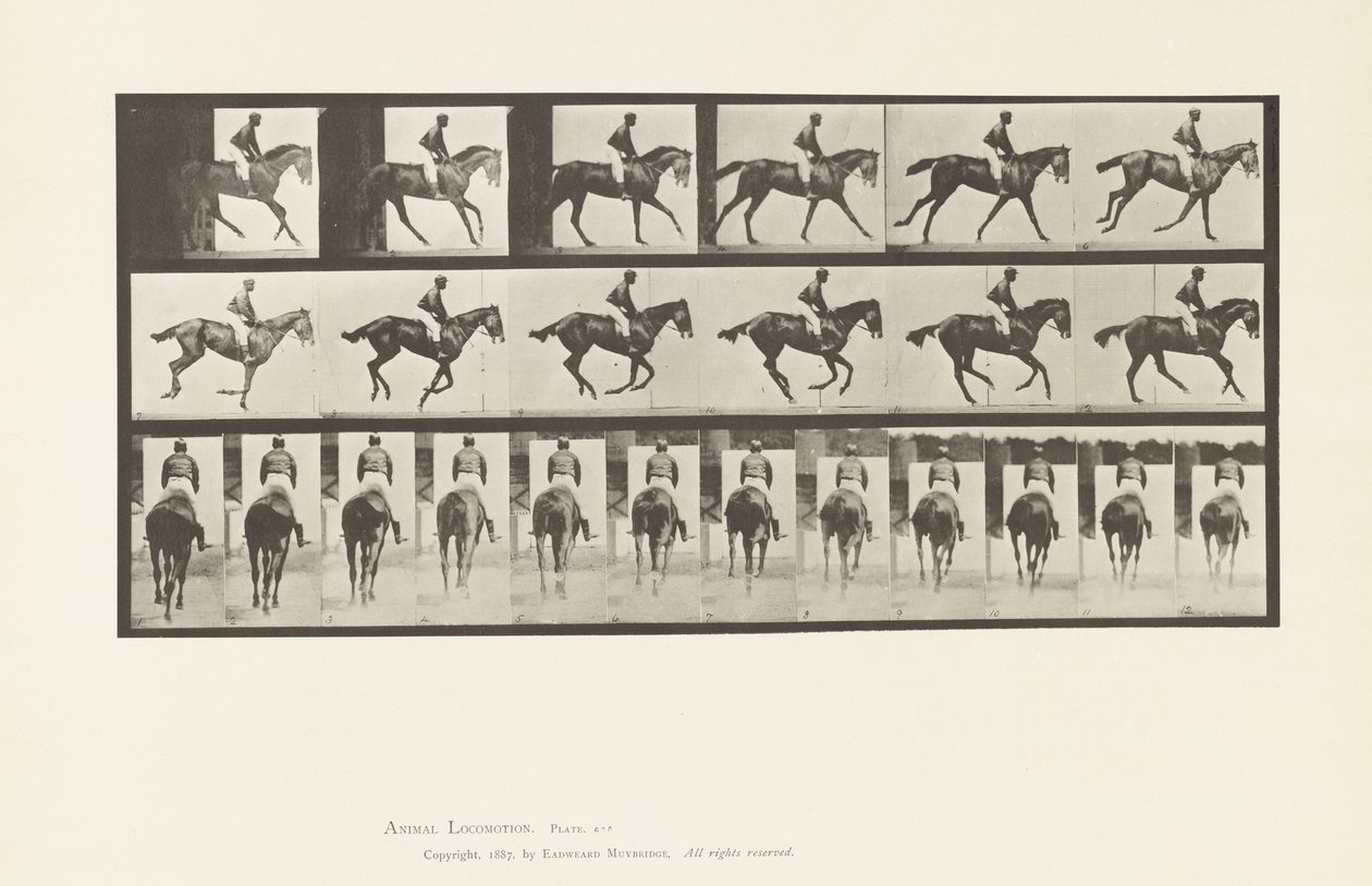 Planche 620. Petit Galop; Selle; Jument Pur-Sang Bai Annie 6 - Eadweard Muybridge