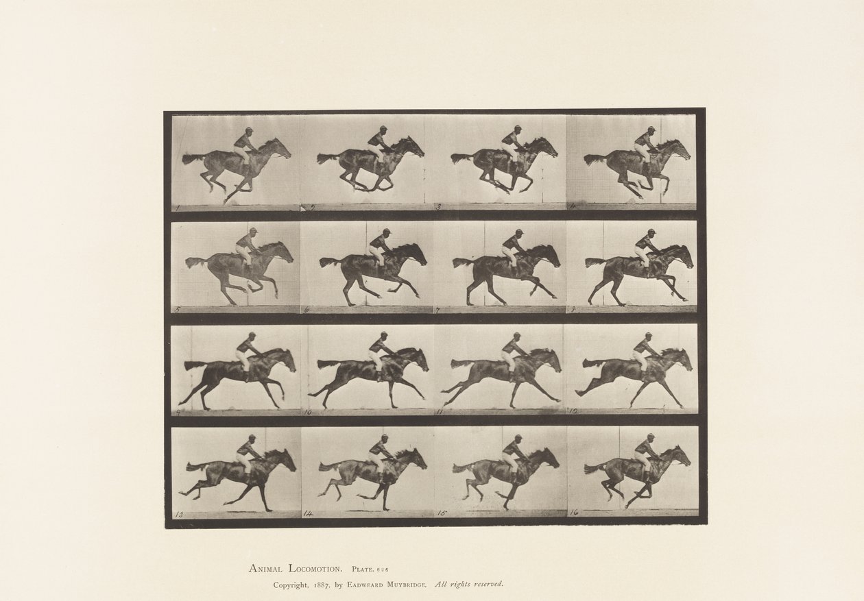 Planche 626. Galop; Jument Pur-Sang Bai Annie G. - Eadweard Muybridge