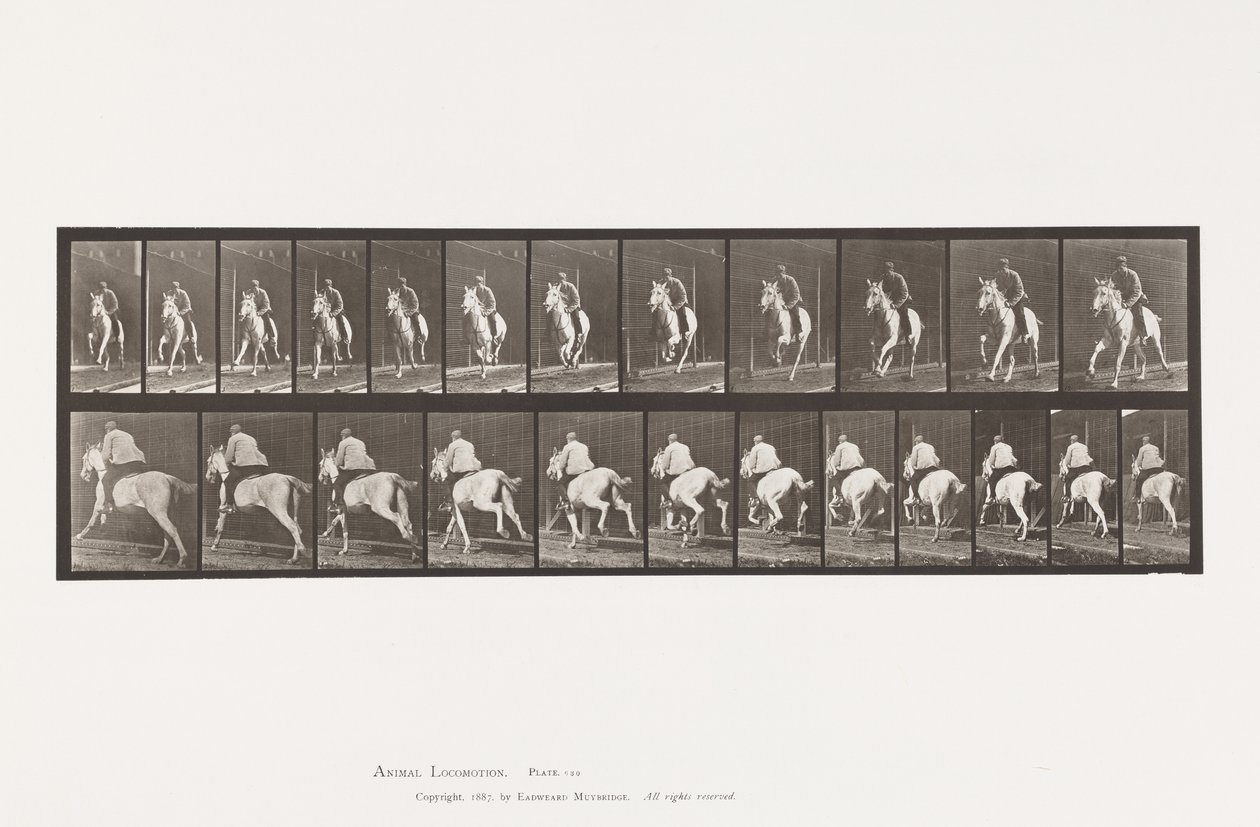 Planche 630. Galop; Selle; Jument Grise Pandora - Eadweard Muybridge