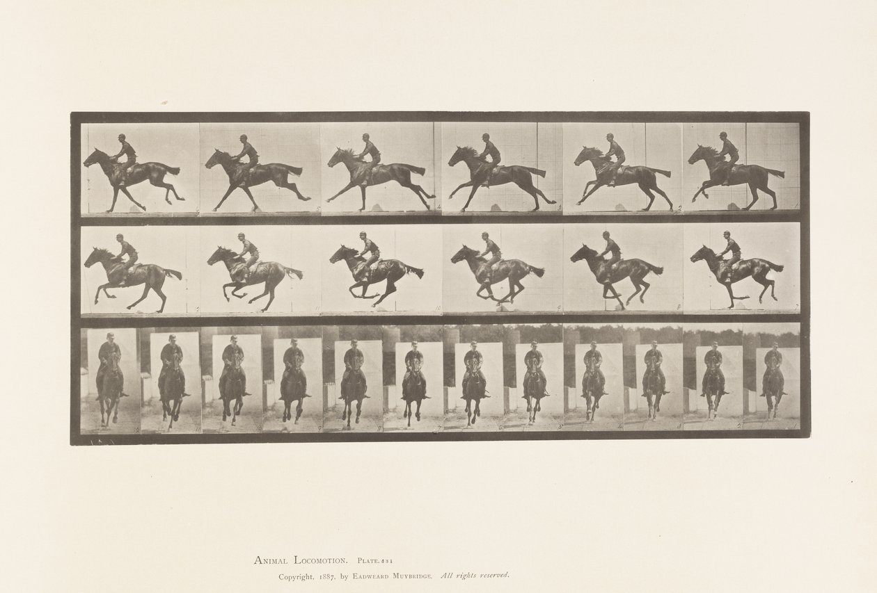 Planche 631. Galop; Selle; Cheval Pur-Sang Bai Bouquet - Eadweard Muybridge