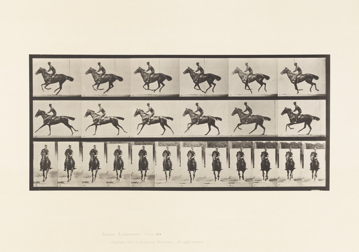 Planche 632. Galop; Selle; Cheval Pur-Sang Bai Bouquet - Eadweard Muybridge