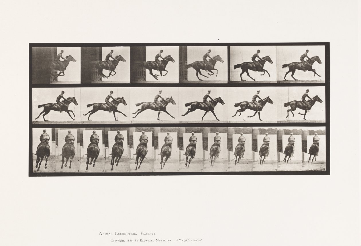 Planche 633. Galop; Selle; Cheval Pur-Sang Bai Bouquet - Eadweard Muybridge