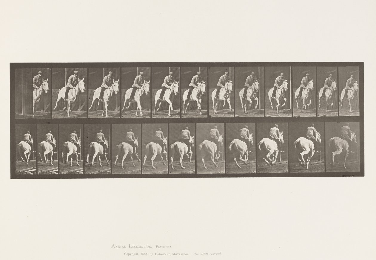 Planche 635. Galop; Selle; Jument Grise, Pandora - Eadweard Muybridge