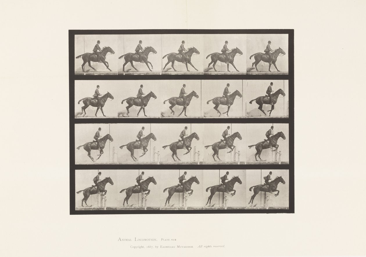 Planche 636. Sauter une Haie; Selle; Préparation pour le Saut - Eadweard Muybridge