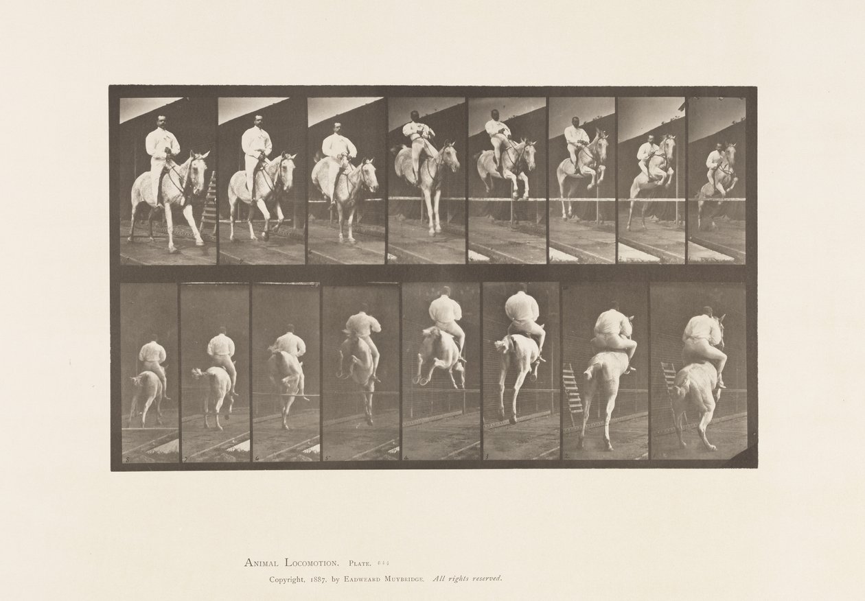Planche 644. Sauter une haie; Selle; Franchissement et atterrissage - Eadweard Muybridge