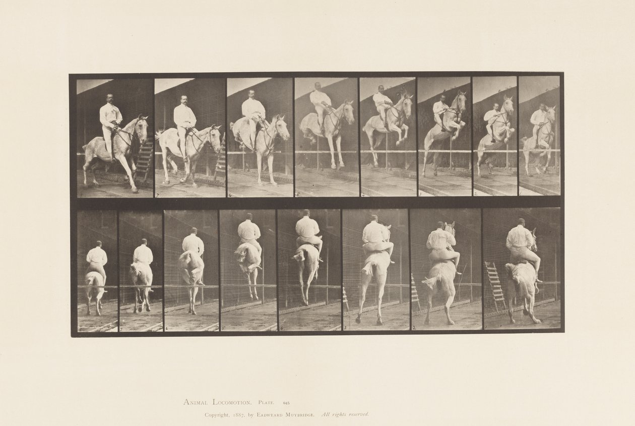 Planche 645. Sautant une Haie; Selle; Franchissant et Atterrissant - Eadweard Muybridge