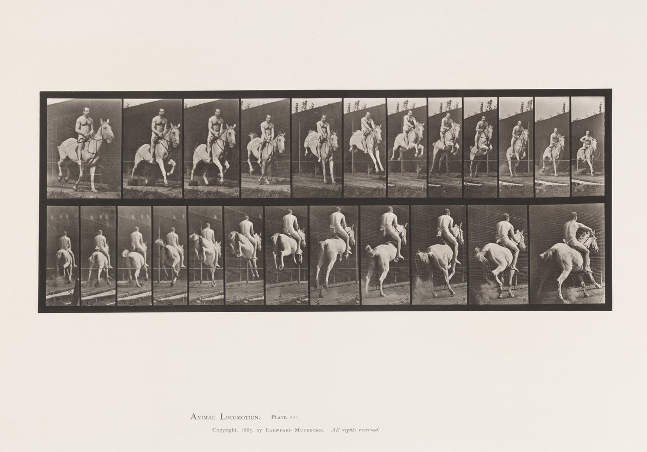 Sauter une haie; Selle; Cavalier, Nu - Eadweard Muybridge