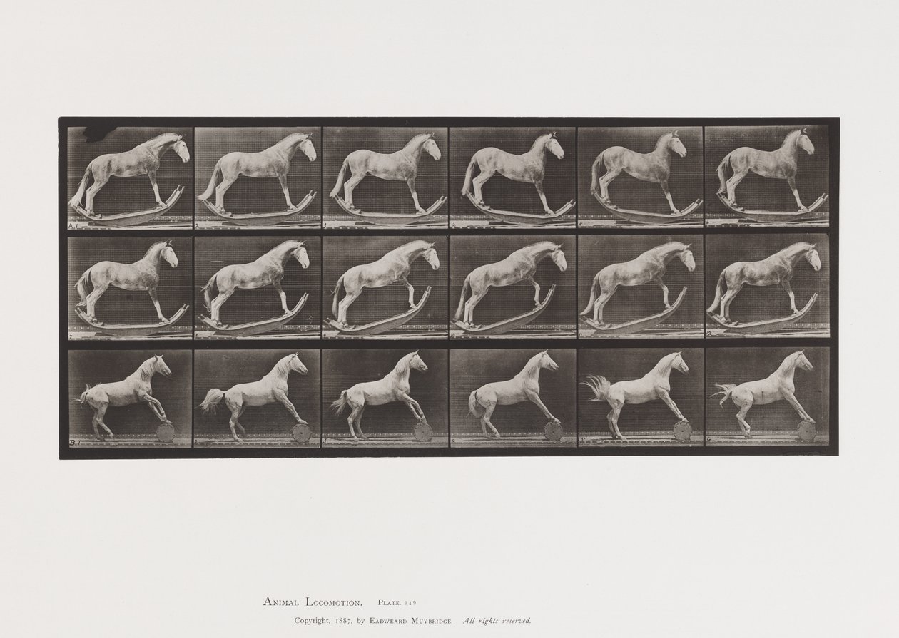 Planche 649.A, Frelon, Balançant; B, Aigle, Rouleau de Baril, Etc. - Eadweard Muybridge