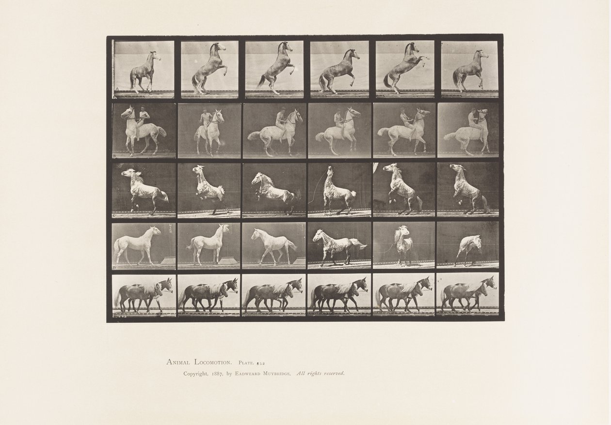 Planche 652. A, B, C, D, E, Chevaux se cabrant, etc. - Eadweard Muybridge