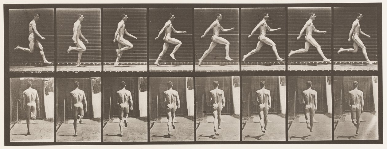 Planche 65. Courir à toute vitesse, 1872-1885 - Eadweard Muybridge