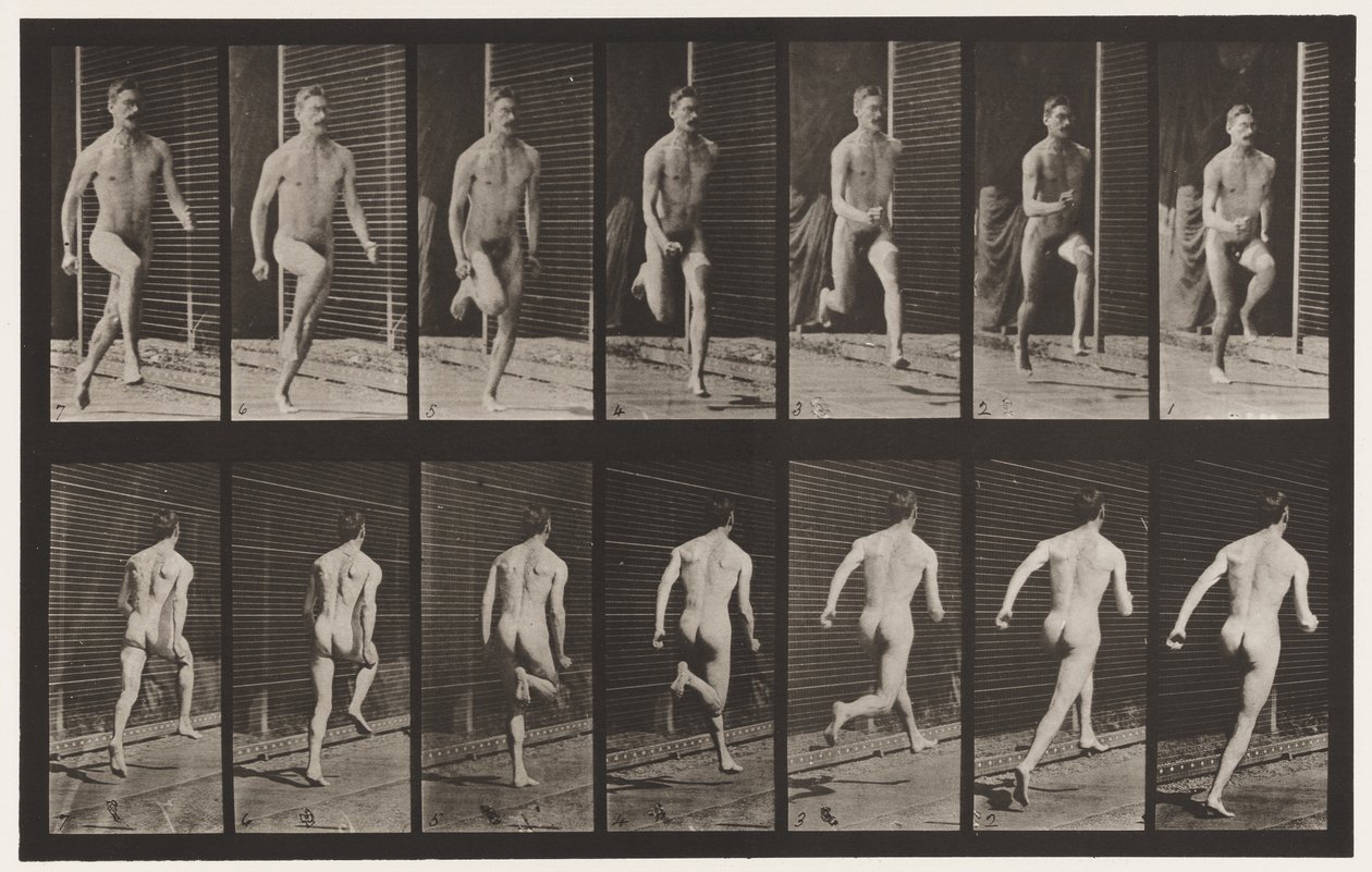 Planche 66. Courir - Eadweard Muybridge