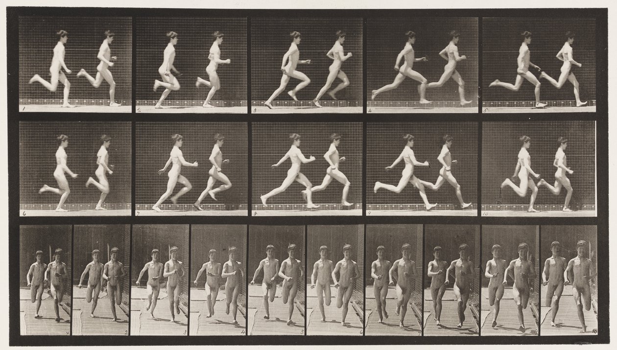 Planche 69. Courir deux modèles - Eadweard Muybridge