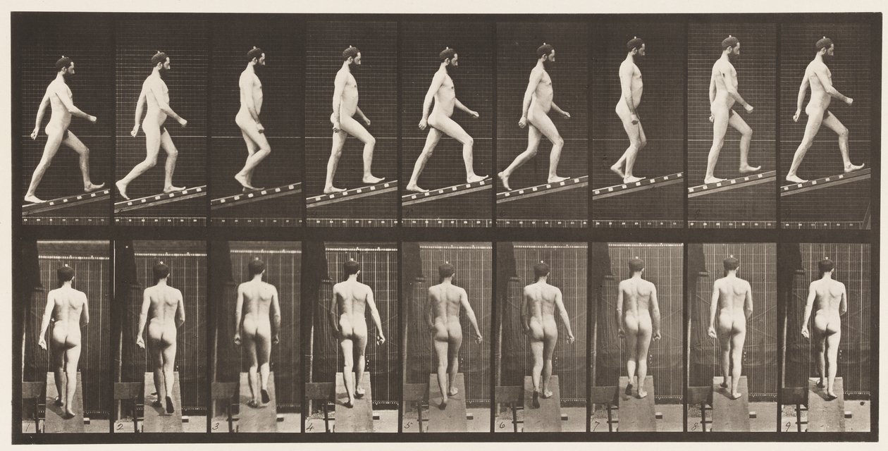 Planche 75. Monter une pente, angle 1 sur 4, 1872-1885 - Eadweard Muybridge