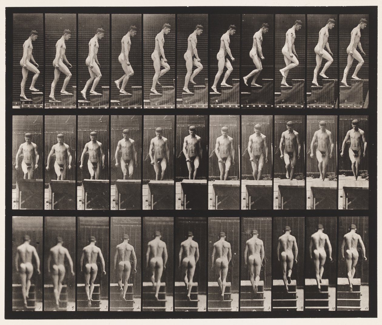 Planche 88. Monter les escaliers - Eadweard Muybridge