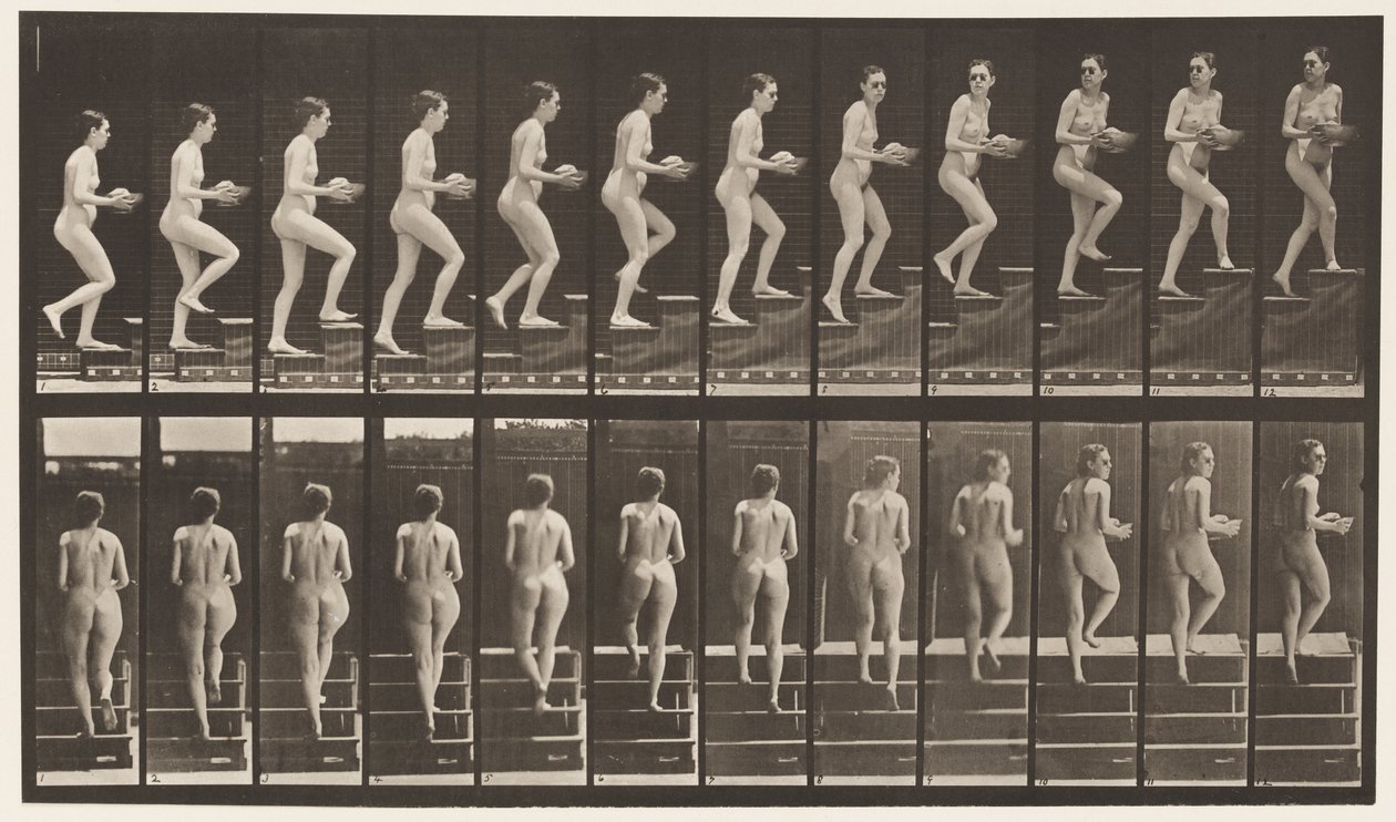Planche 94. Monter les escaliers en regardant autour; Bassin dans les mains - Eadweard Muybridge