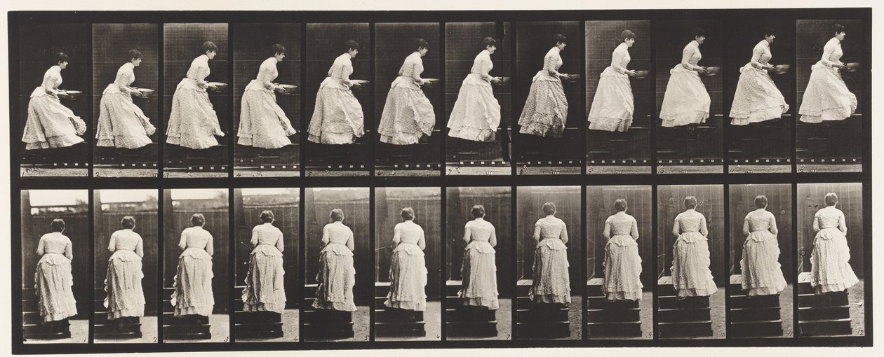 Planche 95. Montée des escaliers, une bassine dans les mains, 1885 - Eadweard Muybridge