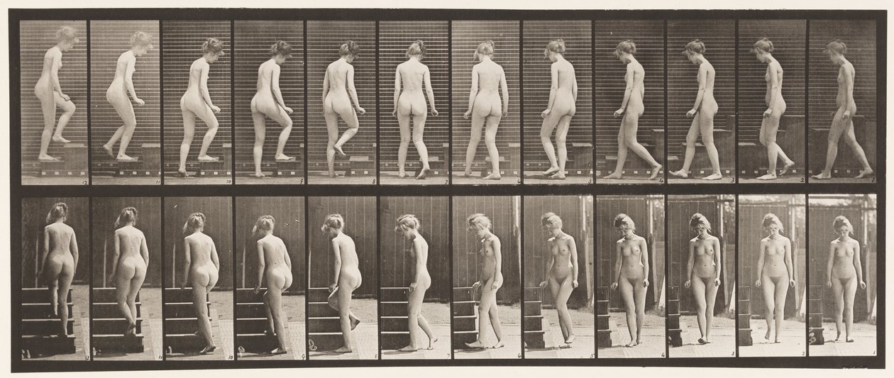Planche 98. Se retourner et monter les escaliers, 1872-1885 - Eadweard Muybridge