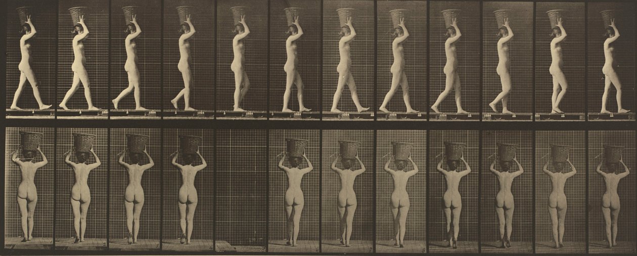 Planche numéro 34. Marcher et porter un panier de 15 lb sur la tête, mains levées - Eadweard Muybridge