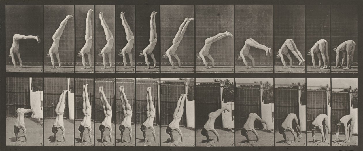 Planche numéro 371. Acrobat, vertical "press up", 1887 (photo) - Eadweard Muybridge