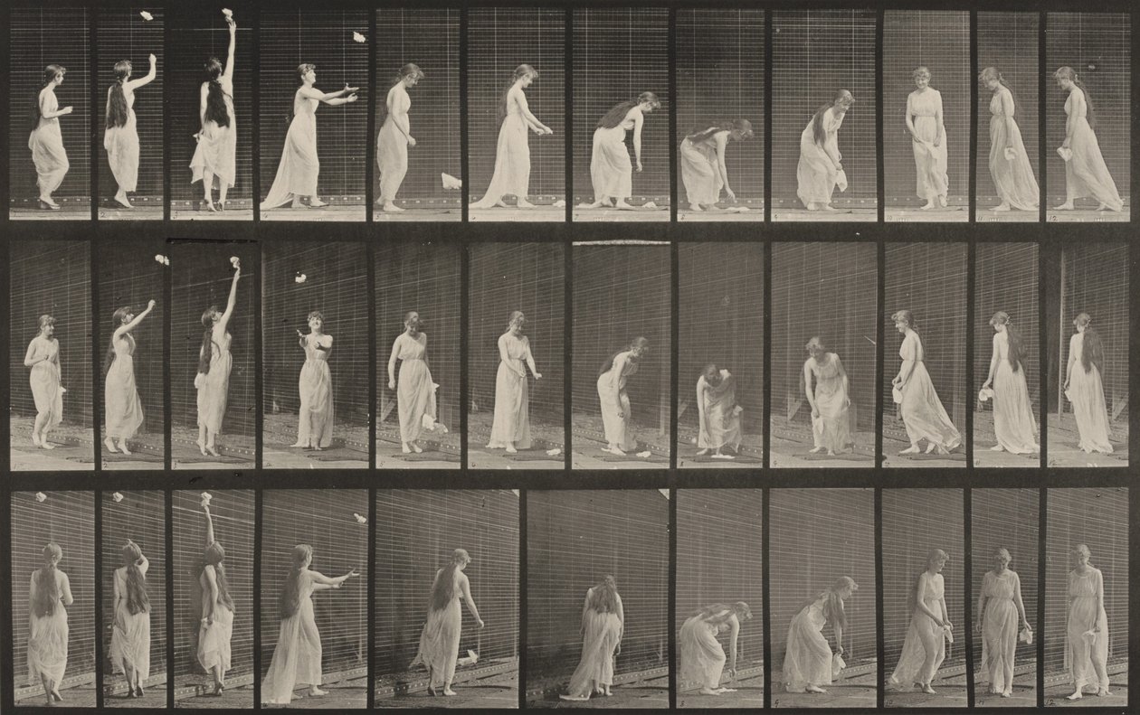 Planche numéro 463. S