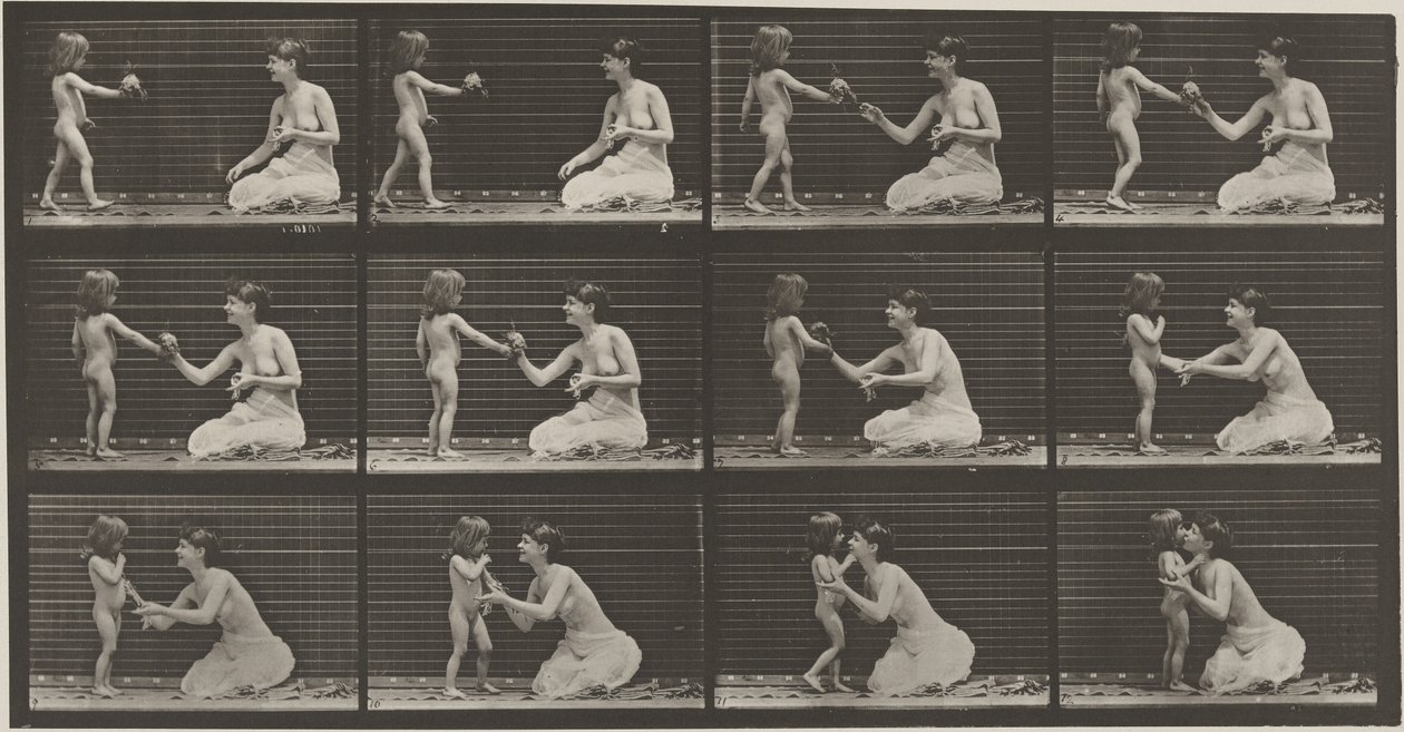 Planche numéro 465. Enfant apportant un bouquet à une femme, 1887 (photo) - Eadweard Muybridge