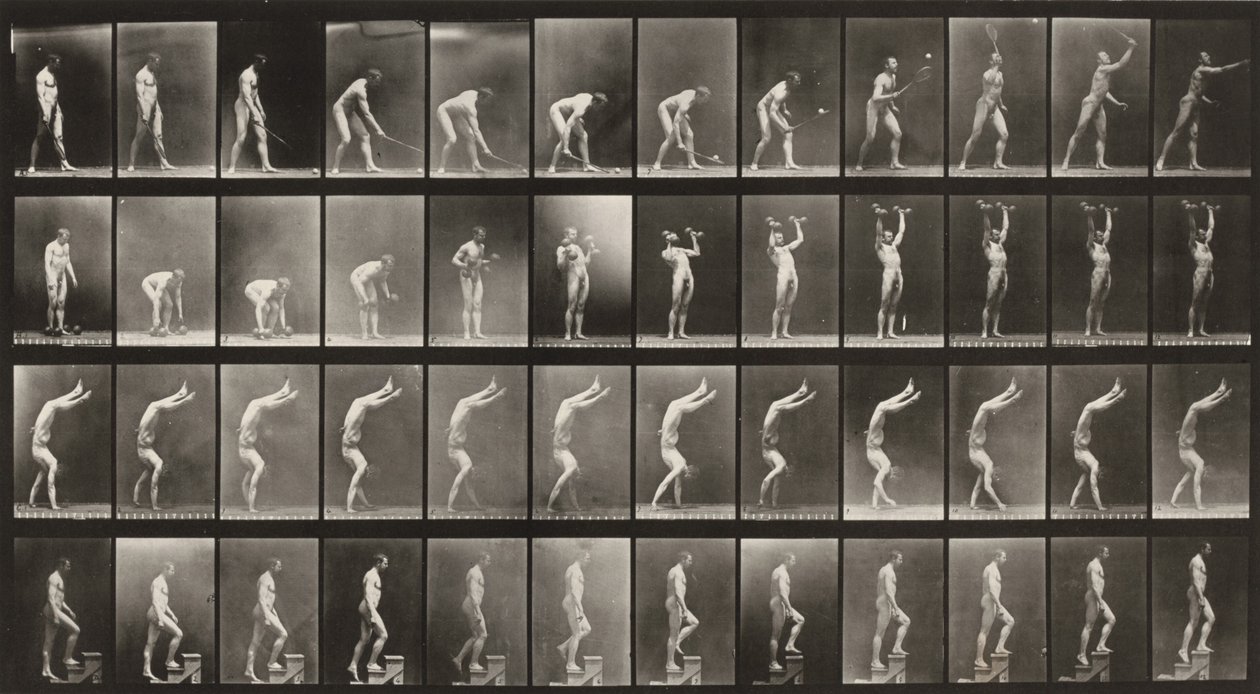 Planche numéro 488. A : Tennis sur gazon. B : Haltères. C : Marche sur les mains. D : Monter des escaliers - Eadweard Muybridge