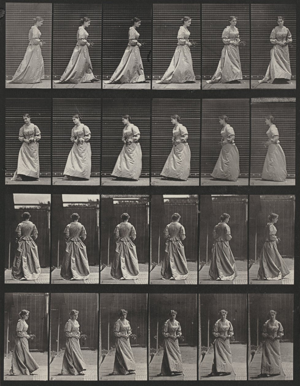 Planche numéro 48. Marcher et se retourner avec un bouquet dans les deux mains - Eadweard Muybridge