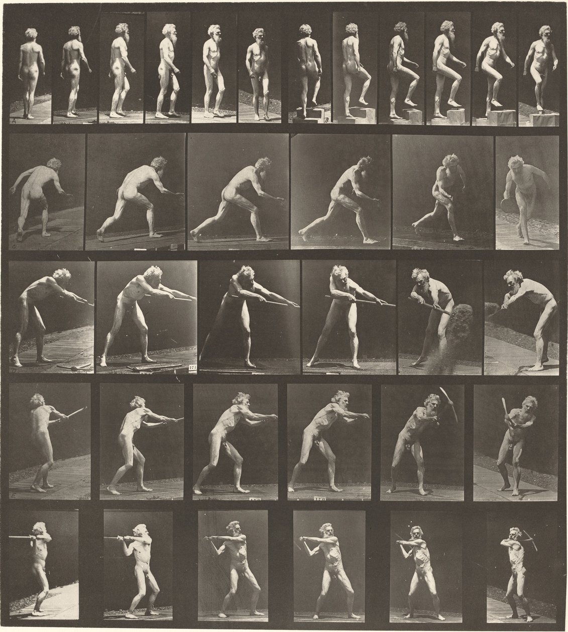 Planche numéro 521. A: Marcher. B: Monter une marche. C: Lancer un disque. D: Utiliser une pelle. E, F: Utiliser une pioche - Eadweard Muybridge