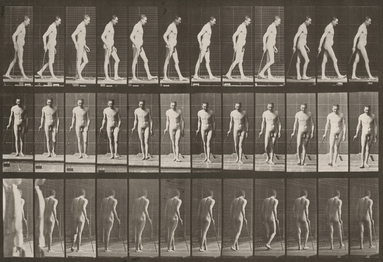 Planche numéro 559. Paraplégie partielle, marche avec une canne - Eadweard Muybridge