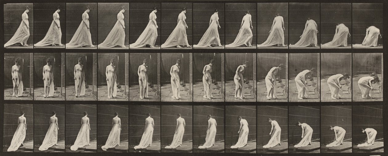 Planche n° 56. Marcher, se tourner et se baisser pour ramasser une traîne - Eadweard Muybridge