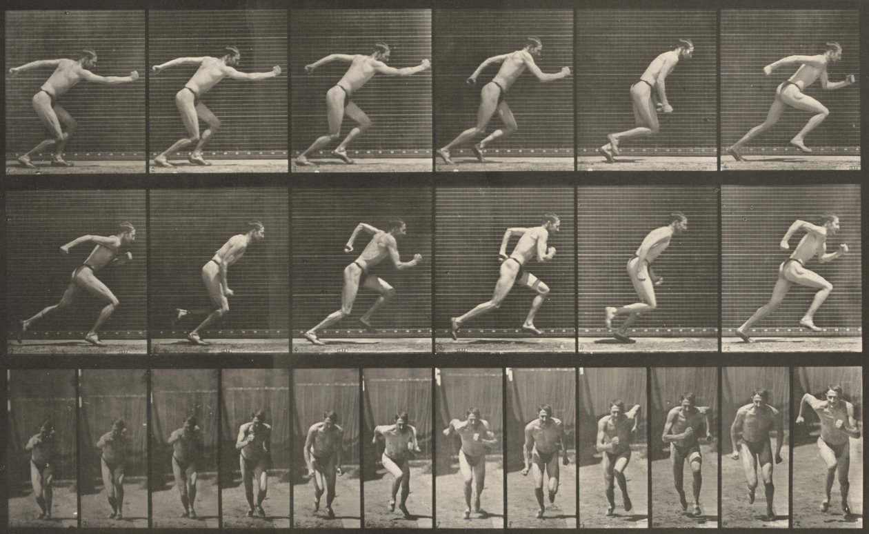 Planche numéro 59. Départ pour une course - Eadweard Muybridge