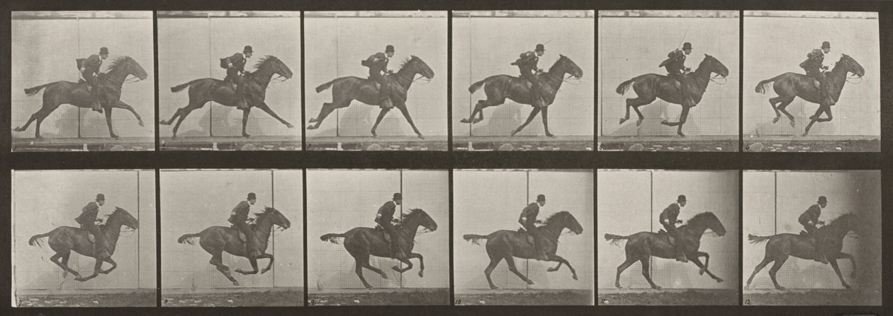 Planche numéro 624. « Daisy » au galop, sellée - Eadweard Muybridge