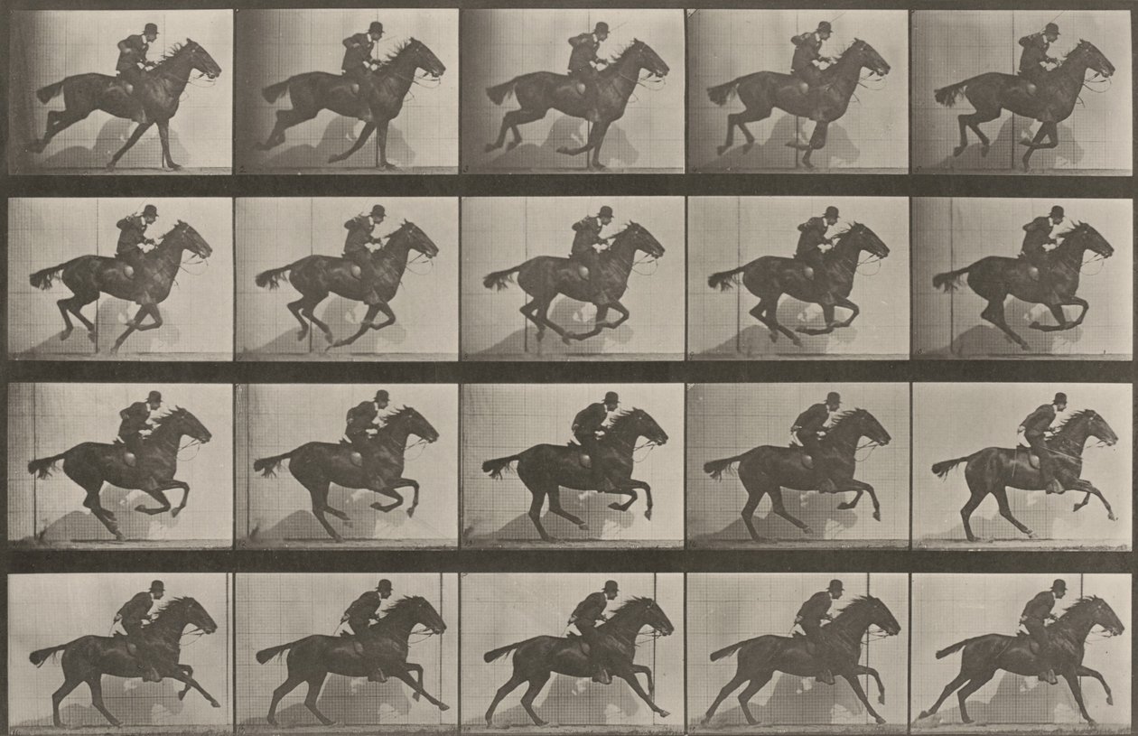 Planche numéro 628. « Daisy » au galop - Eadweard Muybridge