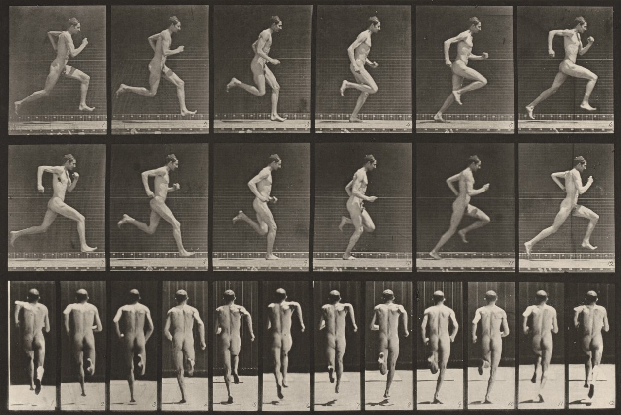 Planche numéro 62. Course à pleine vitesse - Eadweard Muybridge