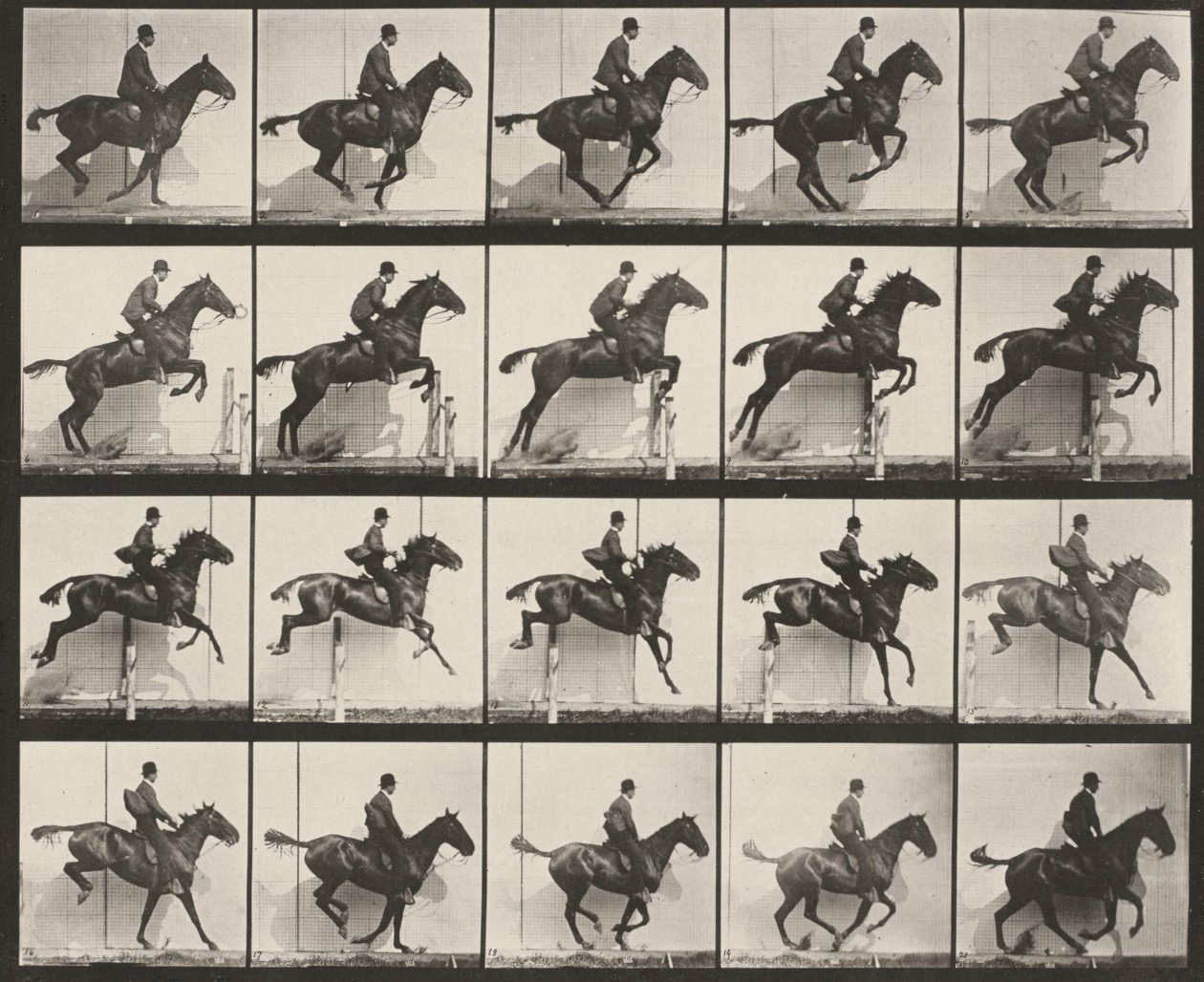 Planche numéro 640. « Daisy » sautant une haie, sellée - Eadweard Muybridge