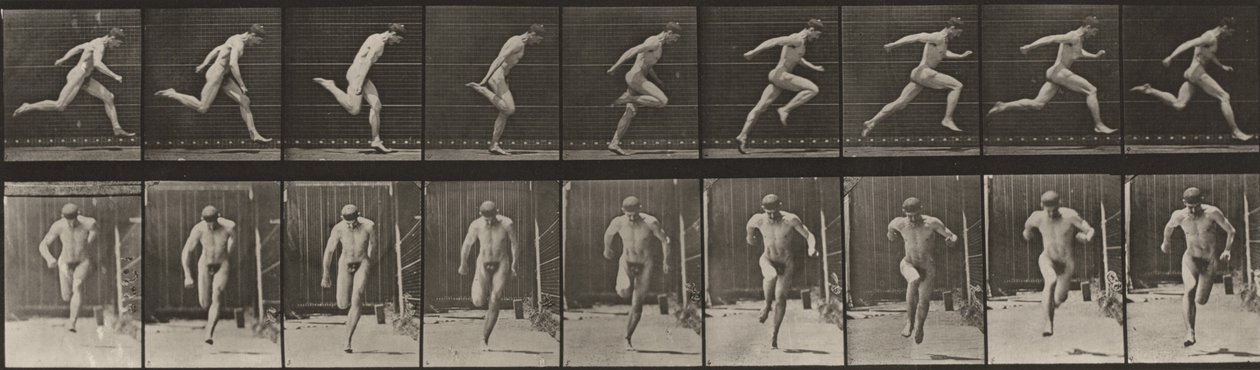 Planche numéro 68. Course - Eadweard Muybridge