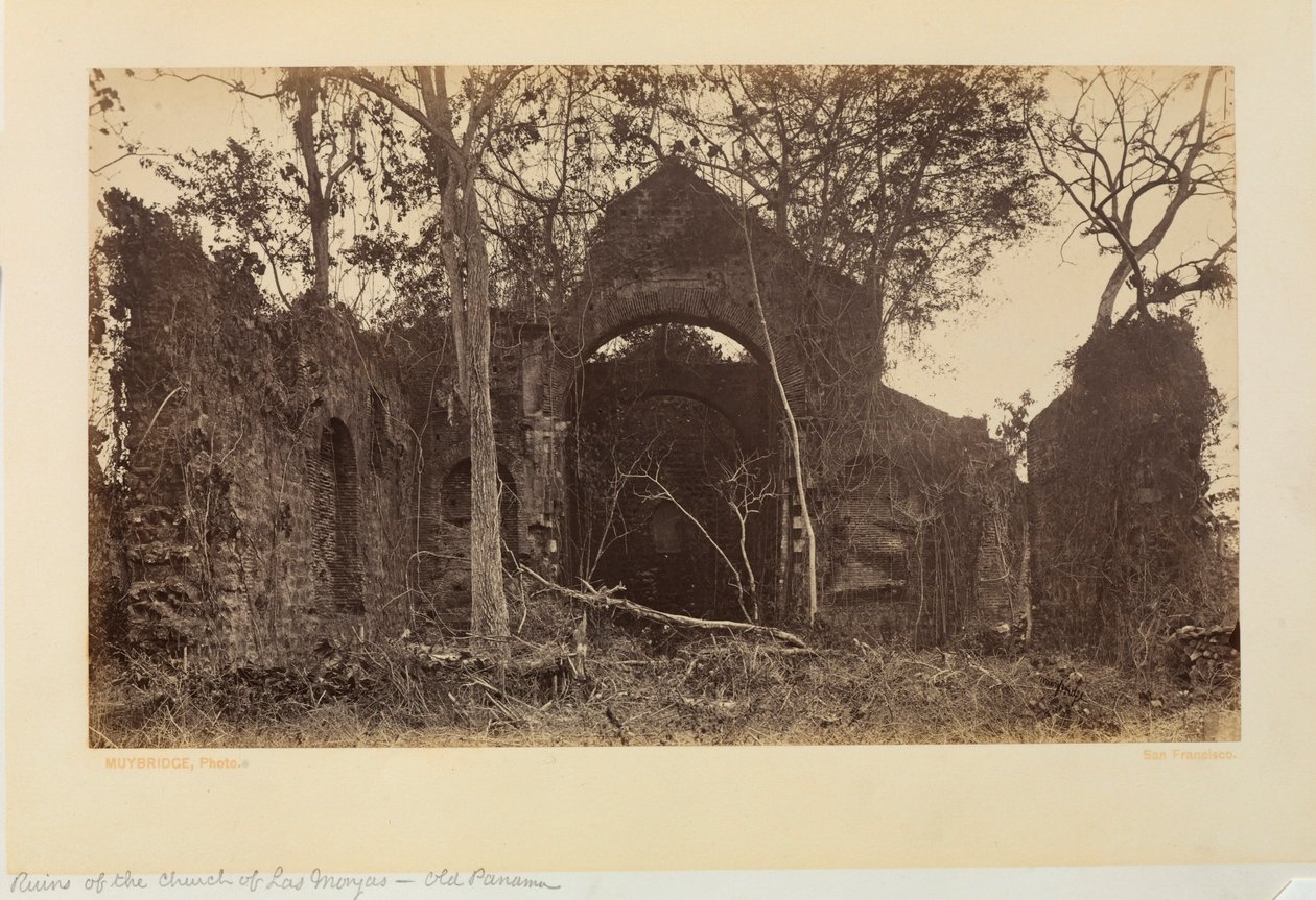 Ruines de l