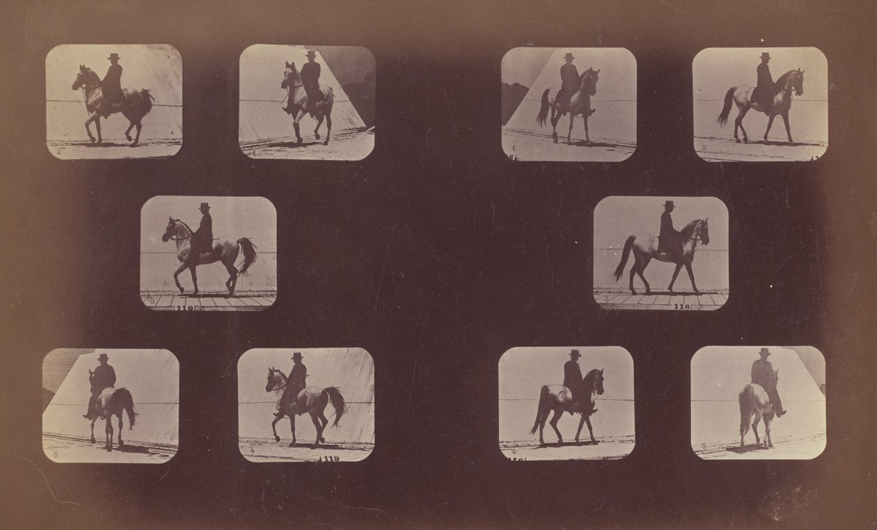 Études de raccourcis. Chevaux. Marche. Mahomet. Nos. 119-120 - Eadweard Muybridge