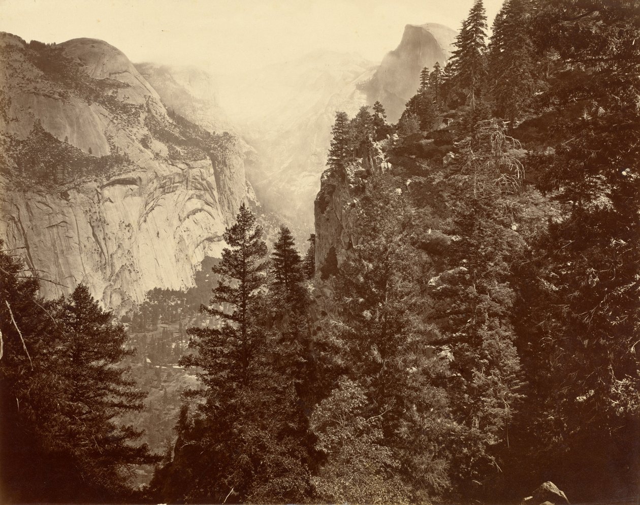 Canyon de Tenaya depuis Union Point, vallée du Yosemite - Eadweard Muybridge