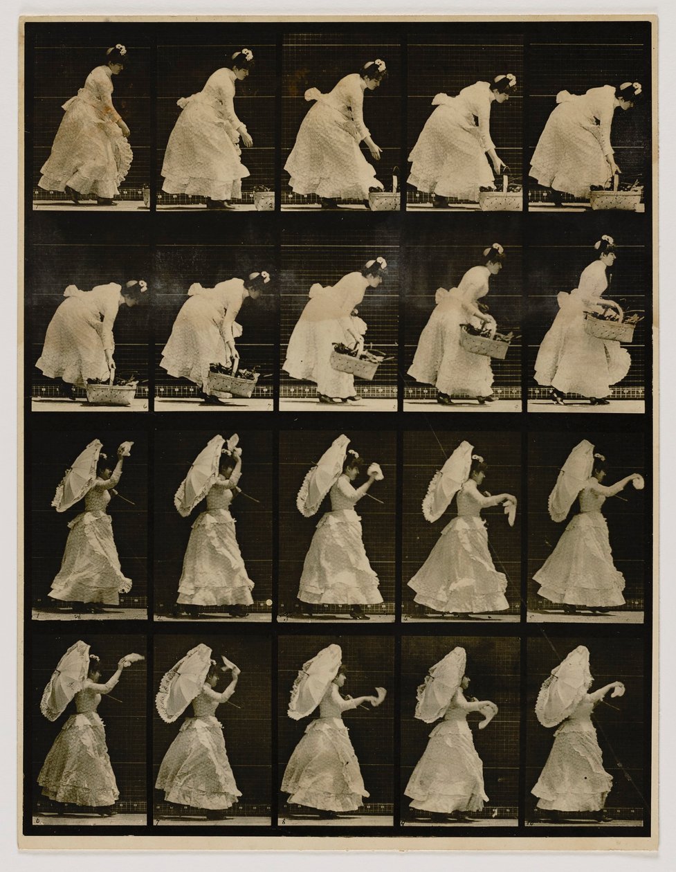 Femme soulevant un panier et agitant un mouchoir, extrait du livre Animal Locomotion - Eadweard Muybridge