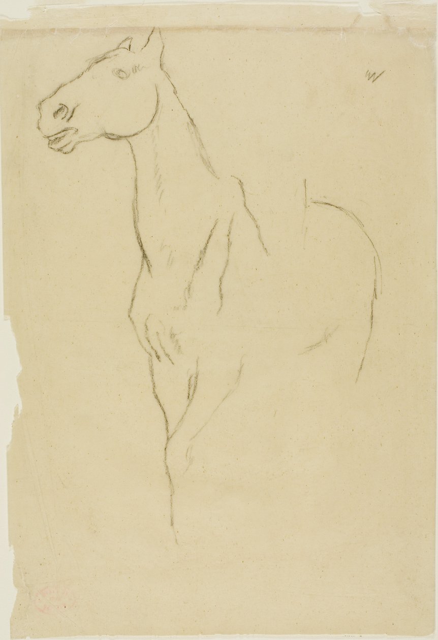 Cheval tourné trois-quarts - Edgar Degas