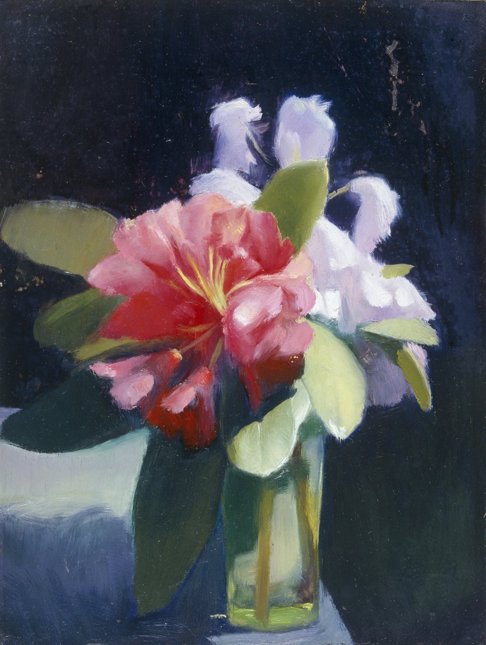 Rhododendrons - Edgar Herbert Thomas